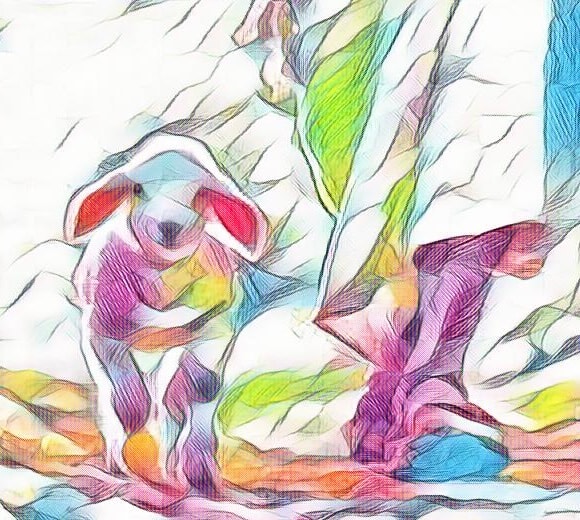 Jesus & Lamb Colorful